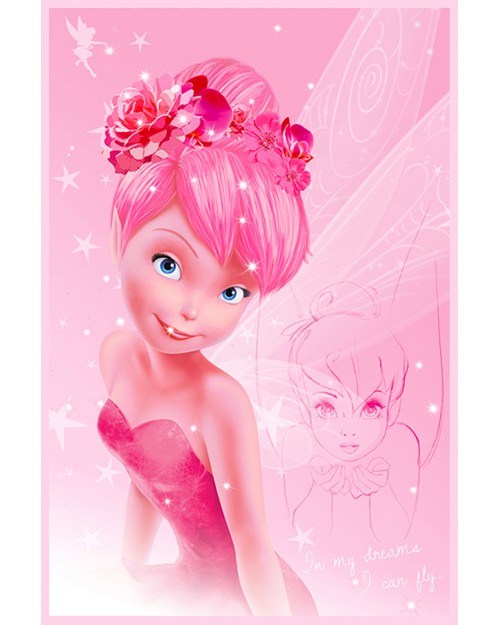 PP33602 Disney Fairies...
