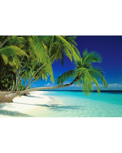 PP31381 Maldives Beach